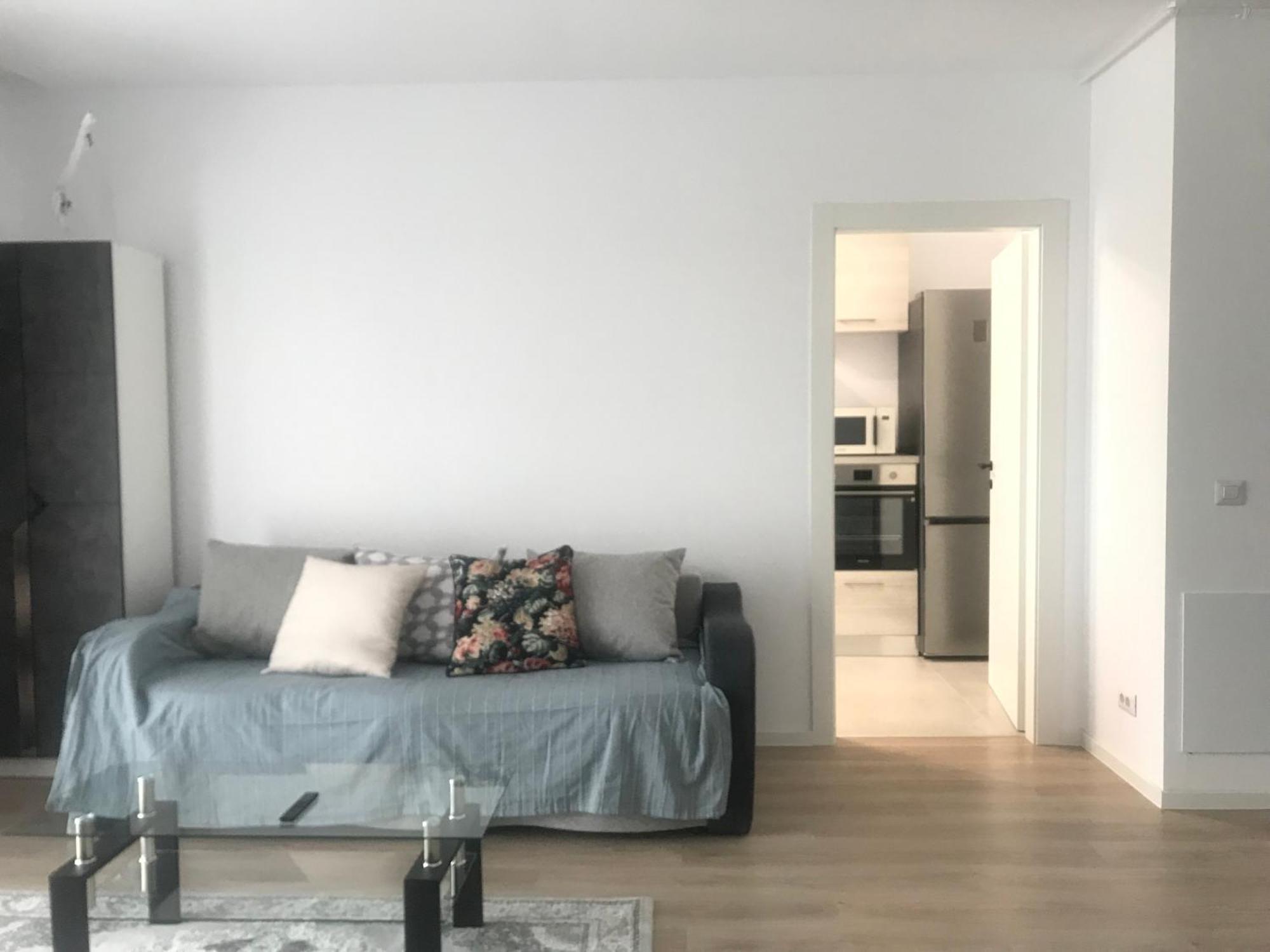 Apartment Vulcan Fancy Bucharest